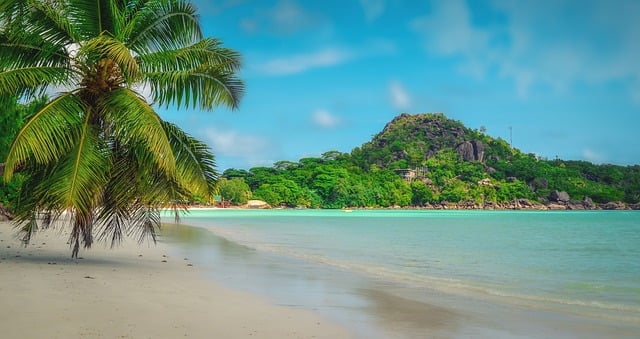 Seychelles citizenship by investment