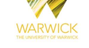 Warwick University