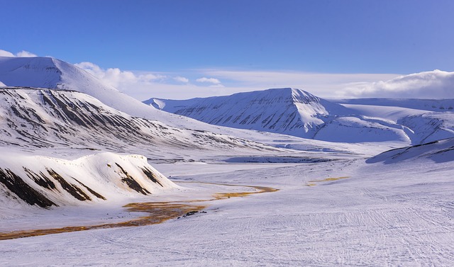 Svalbard Snow
