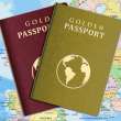What are Golden Citizenship Programs?