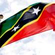 Eligibility for Citizenship of St.Kitts & Nevis