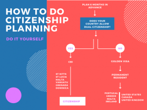 Citizenship planning flowchart