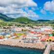 Family Members for St.Kitts and Nevis Citizenship